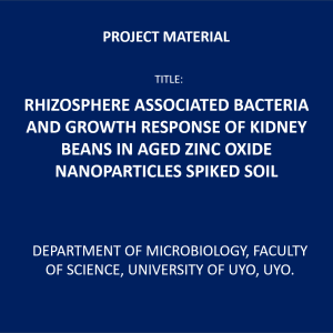 Rhizosphere associated bacteria and growth response of kidney beans in aged zinc oxide nanoparticles spiked soil