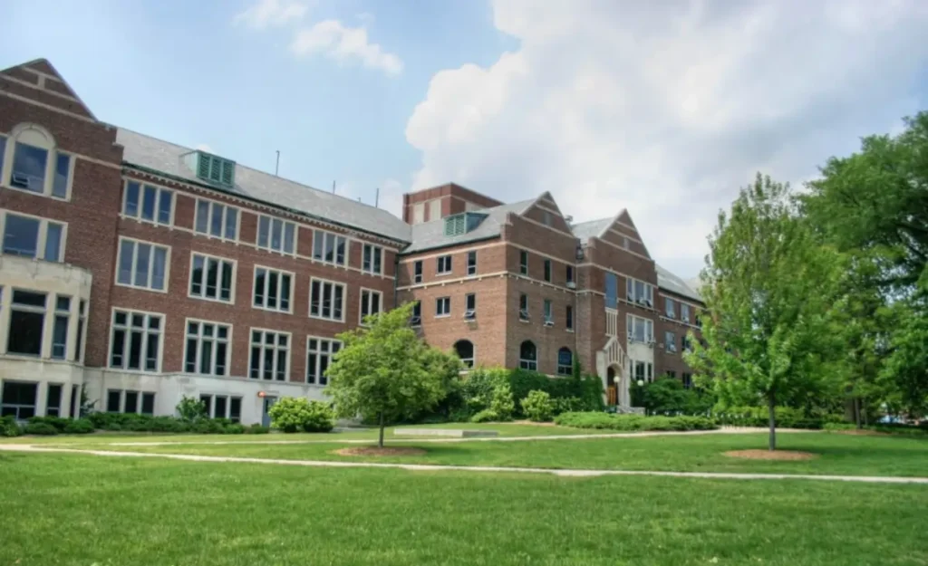 Michigan State University IS Scholarships