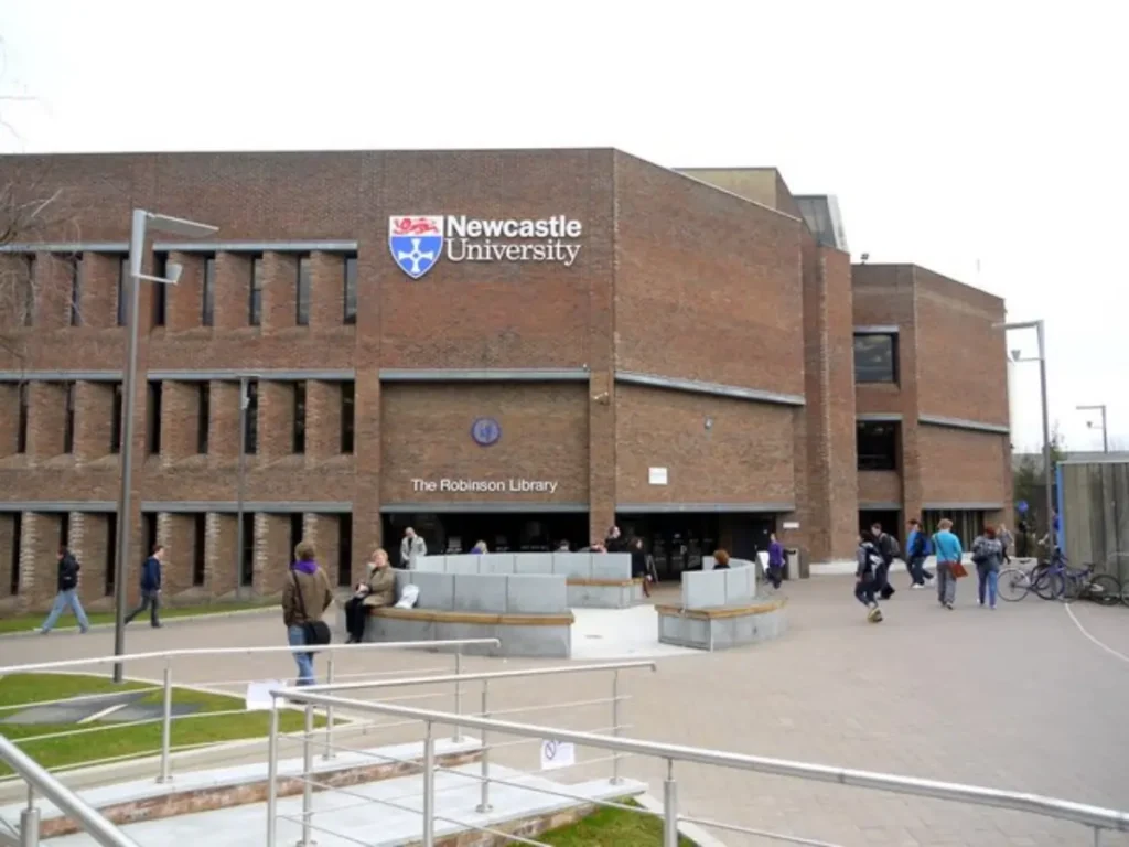 Newcastle University Business Excellence Scholarship
